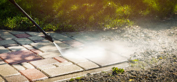 Best Fleet Vehicle Washing  in Bean Station, TN